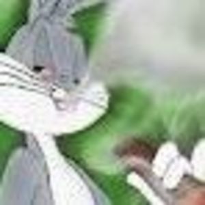 Meet your Posher, Luis